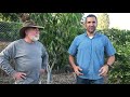 DON'T PLANT Fruit Trees Before Considering These Things! | W/Guest Tom Spellman -Dave Wilson Nursery