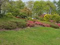 Windsor Great Park