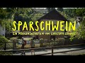 SPARSCHWEIN - jetzt im Kino!