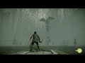 Grote vogel aanvallen(SHADOW OF THE COLOSSUS#5)