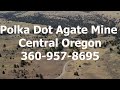 Polka Dot Agate Mine, Central Oregon, Rock mine, Thunder Eggs