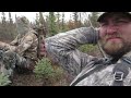 Alaskan Moose Hunt 2023