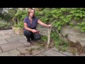 How to make wisteria flower