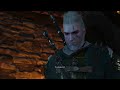Geralt ratuje łowcę czarownic.