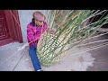Forgotten Craft: 90-year-old Bamboo Master Makes Bamboo Basket