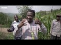 My return home 30 years after Rwanda's genocide - BBC Africa
