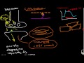 Oncologic Emergencies: Hypercalcemia