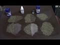 Using herbs as basing scatter (Frugal Wargames Foliage)