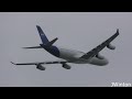 NUFC from Australia | ASC Airbus A340-313 D-AUSC landing and departing Newcastle Airport