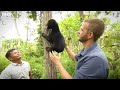 Rescued baby Sun Bear learns to climb and play | Earth Unplugged
