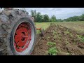 Farmall 400 Plowing with a 4x14 Fast-Hitch Plow