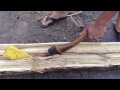 Splitting Wood Logs for Bow Staves