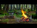 Forest Campfire by the Small Stream 🌲Relaxing Sounds & Sleep