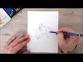 How to draw Animals