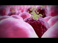 SwineFlu Influenza H1N1 Mechanism of Action MOA Animation