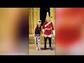 Here's Why You Never Mess With a Royal Guard