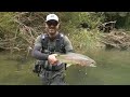 Incredible Fly Fishing for BIG Rainbow Trout in a Stunning River!!