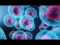 How do Umbilical Cord Stem Cells Work in the Body? (844) GET-STEM