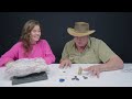 Unboxing Boulder Opals with the Opal Hunter