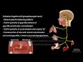 Vagus Nerve - Neuroanatomy and Functions, Animation