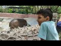 Delhi zoo - delhi zoo all animals | Delhi zoo online ticket booking, ticket price Delhi chidiya ghar