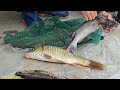 FULL VIDEO:30 days orphan boy khai of catching fish, completing the construction of a bamboo house