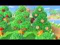 OMG!! IT'S FINALLY HAPPENED! | Animal Crossing New Horizons | Opalwaters Day131