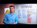What Is Dopamine? – Dr.Berg