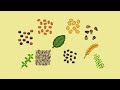 Making a Farming Game: Items 1-10 - Slimewood Isle