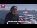Haruskah Pulau Komodo ditutup dan dibiarkan tanpa manusia? - BBC News Indonesia