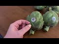 Prepare, cook, and eat artichokes-HOW to