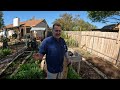 Planting Garlic in Texas