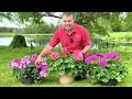 Which of these jumbo containers hold ONLY TWO PLANTS? You might be surprised.