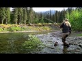 Steelhead Dreams Part 1 - Fly Fishing for Steelhead - A Family Story in British Columbia