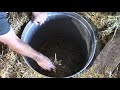 Our Simple Inexpensive Root Cellar Build