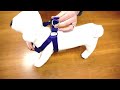 PetChampion - Step in Harness: How To