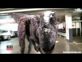 Employees Freak Out Co-Workers With Realistic Dinosaur in Parking Garage