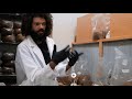 Mycelium Inoculation in the Lab | Southwest Mushrooms