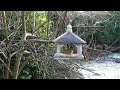 Birds at the garden table feeder 21st January 2023. Big robin hogs the joint.