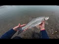 CRAZY ASP Fishing in Winter on the PO River