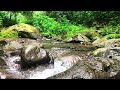 River Nature Sounds for Relaxing, River Sounds for Sleeping, Studying, Working, ASMR Water Sounds