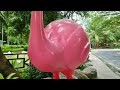 Khao Kheow Open Zoo, Pattaya, Thailand 🇹🇭 4K Walking Tour