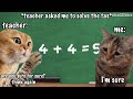 FIRST DAY AT SCHOOL CAT MEME COMPILATION