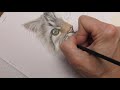 Half and Half Challenge: How to Paint a Realistic Cat in Watercolor