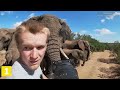 Top 12 INCREDIBLE Wild Elephant Encounters