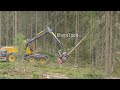 Powerful Big Tree Harvester Working - Amazing Giant Excavator Cutting Tree | MegaTech