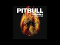 Fire – Pitbull ft. Jimi Hendrix