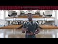 Elevate Your Vibe  (Book)