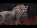 Panthera Leo. | Lion History and the Art of Velizar Simenovski. |
