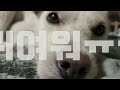 Worker in his 30s Living with a Dog If you live alone and are considering adopting a dog, watch it.